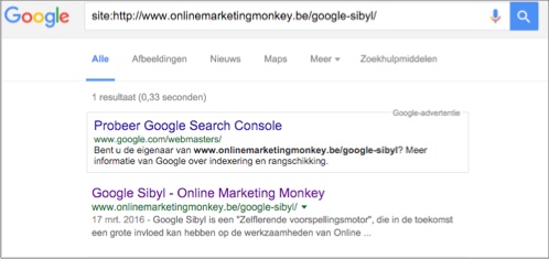 google-indexatie