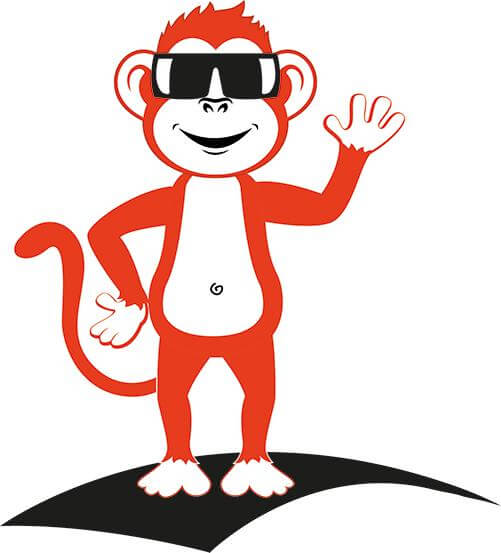 Online Marketing monkey